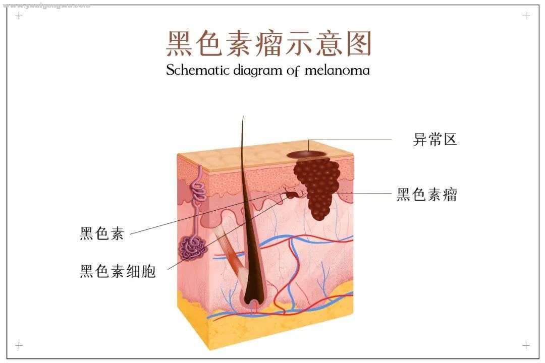 微信图片_20210330174139.jpg