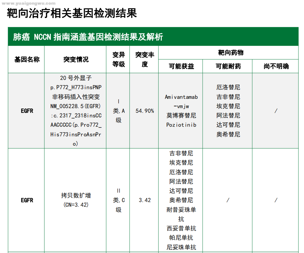 基因检测6